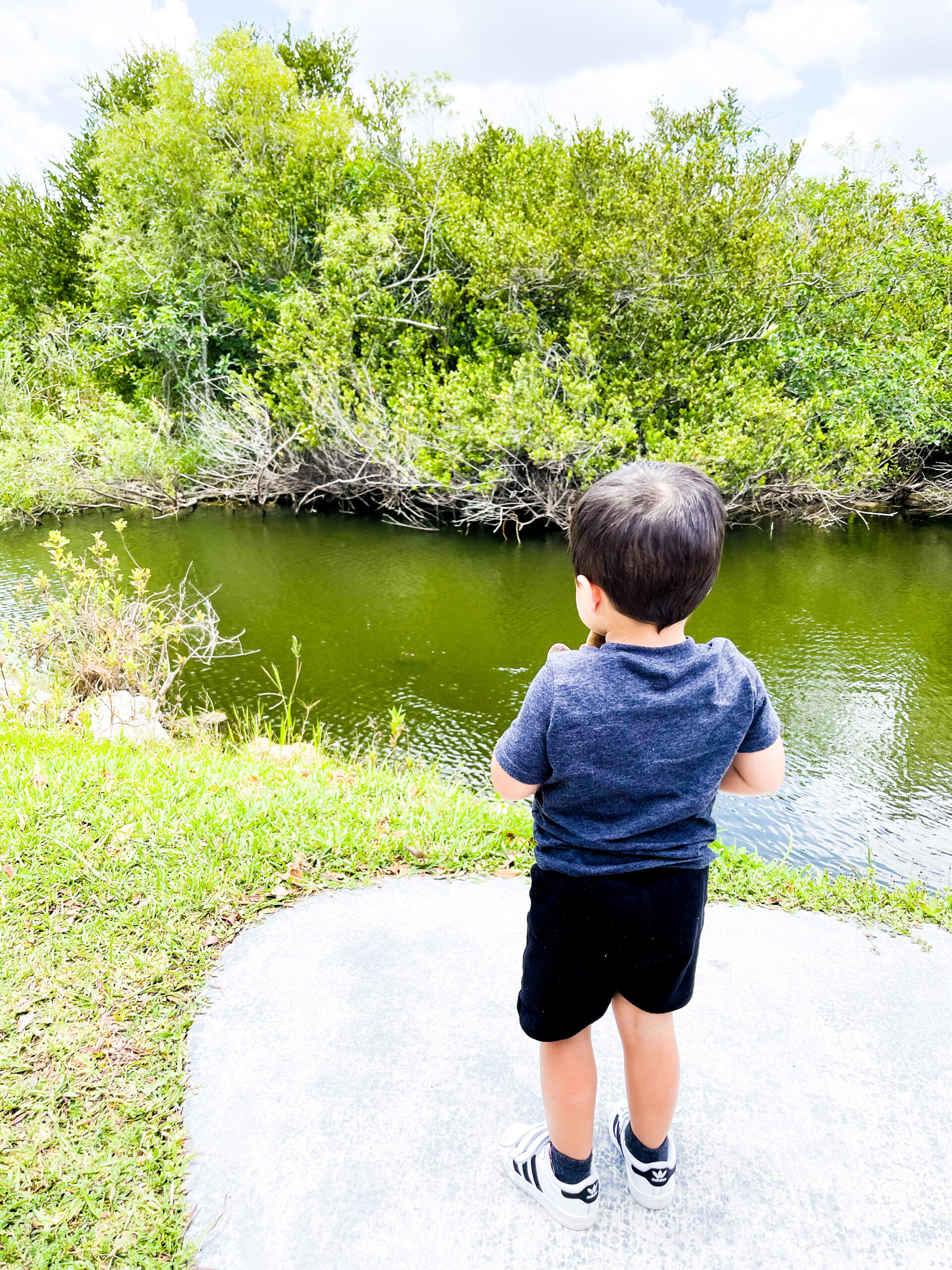 Everglades with toddlers