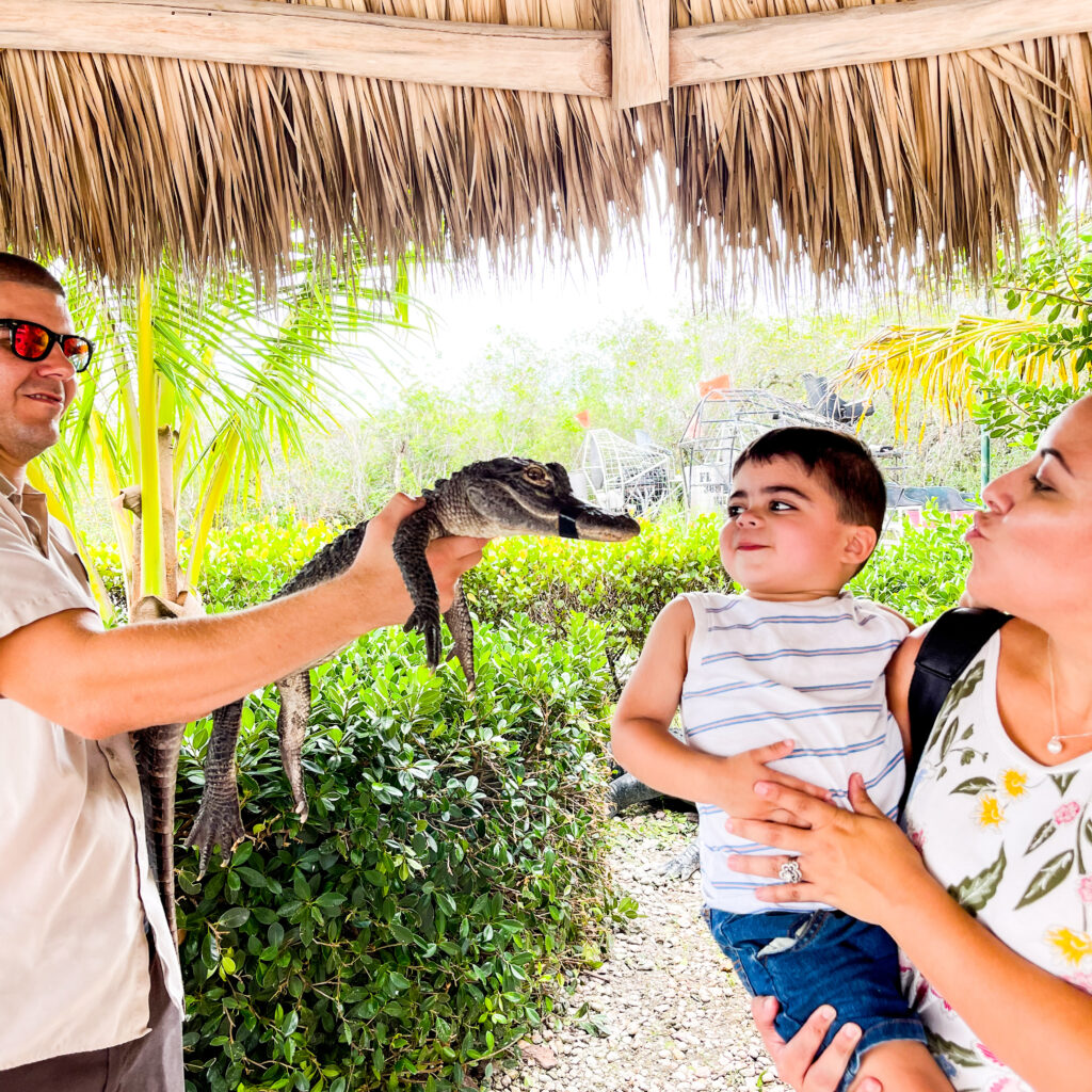 Kissing an alligator in the Everglades