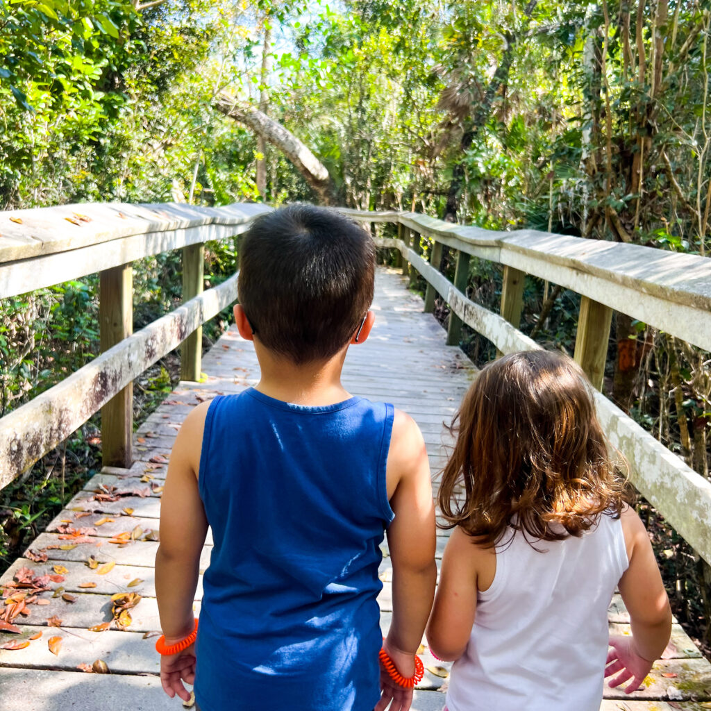 Kids on an Everglades trail