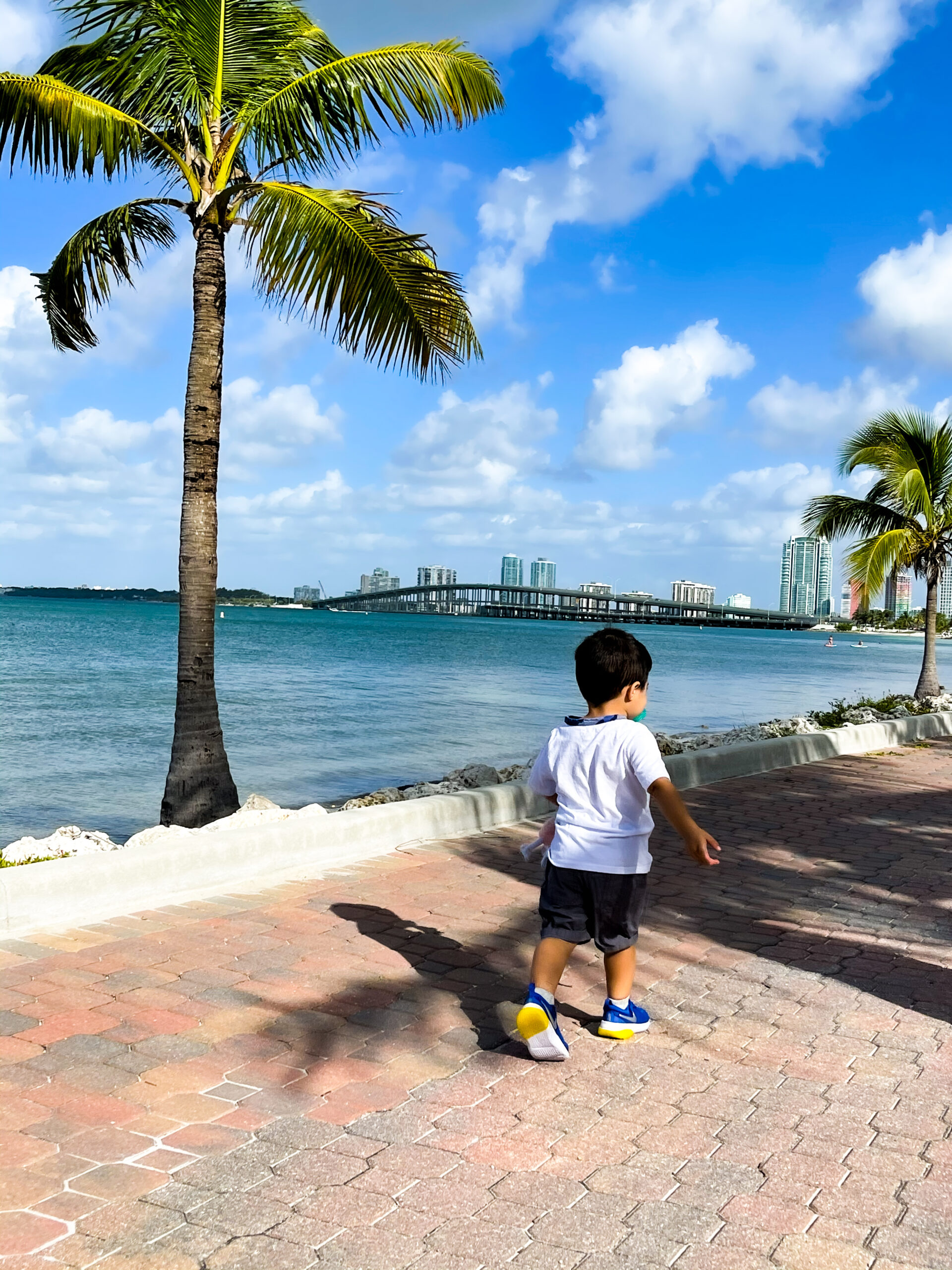 Walking key Biscayne bridge in Miami with kids