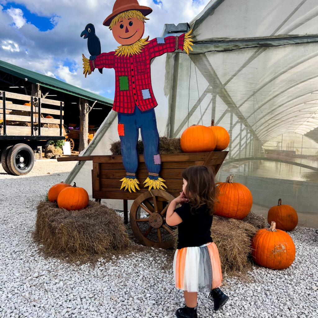 Fall Festivals in Miami scarecrow