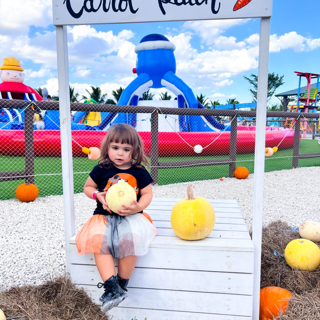Fall Festivals in Miami Carrot patch