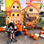 Fall Festivals in Miami Berry Farms