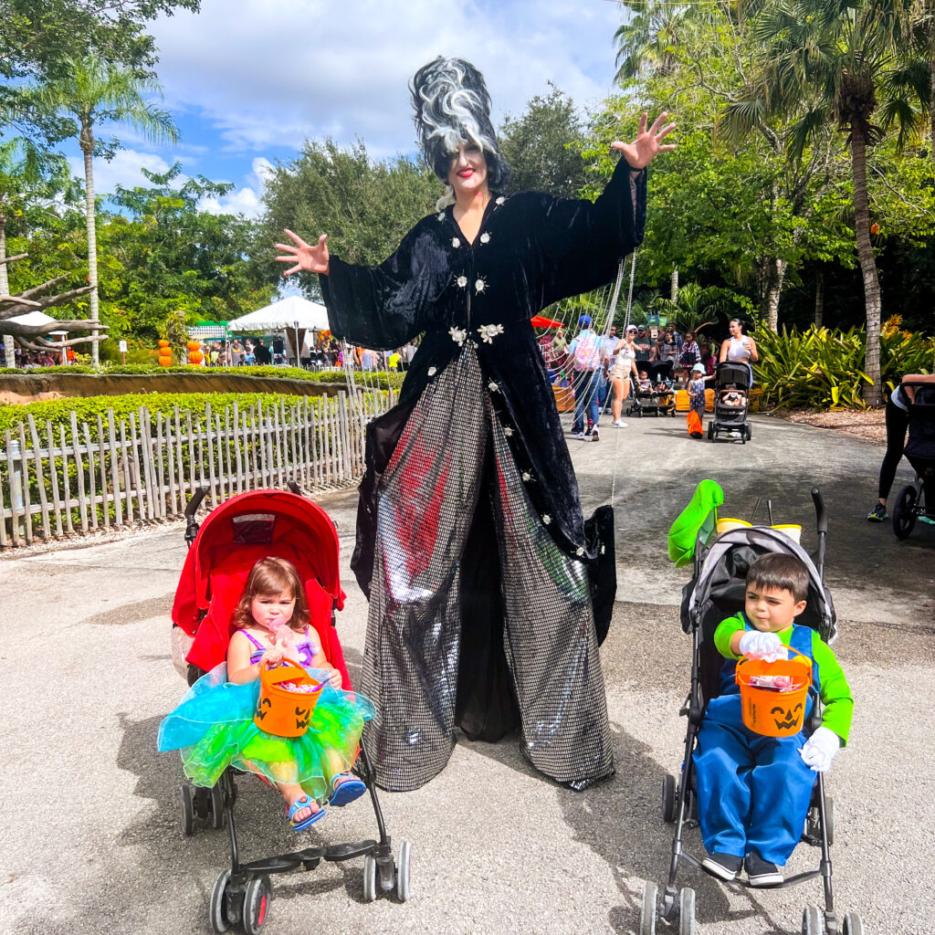 Fall Festivals in Miami Zoo Boo
